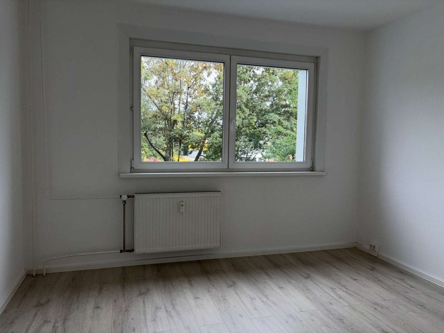 Zimmer 2