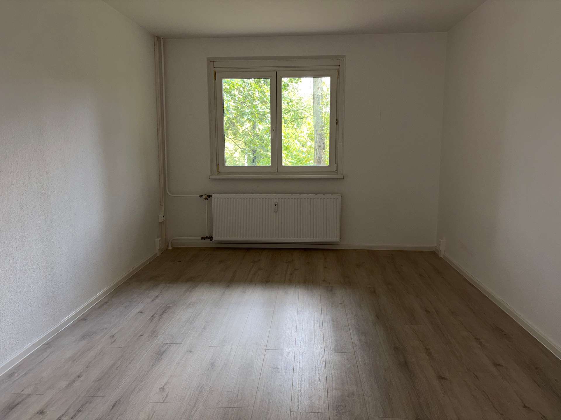 Zimmer 2