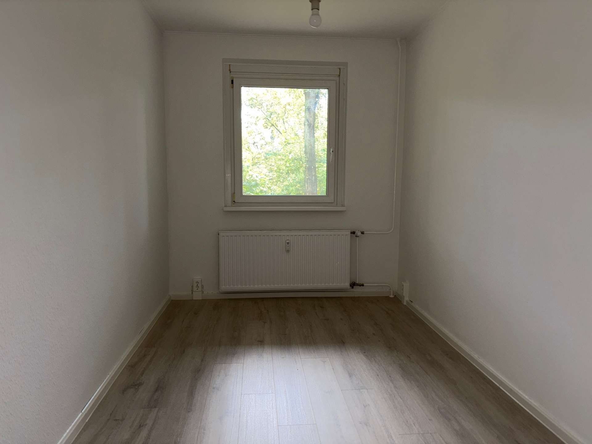Zimmer 3